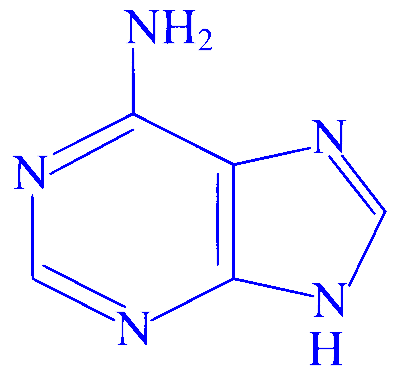 JEE Main 2025 (Online) 24th January Evening Shift Chemistry - Biomolecules Question 2 English 3