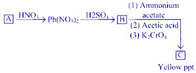 JEE Main 2025 (Online) 23rd January Evening Shift Chemistry - Salt Analysis Question 3 English