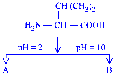 JEE Main 2025 (Online) 8th April Evening Shift Chemistry - Aldehydes, Ketones and Carboxylic Acids Question 9 English