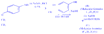 JEE Main 2025 (Online) 23rd January Evening Shift Chemistry - Compounds Containing Nitrogen Question 3 English
