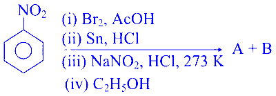 JEE Main 2025 (Online) 22nd January Morning Shift Chemistry - Compounds Containing Nitrogen Question 9 Hindi